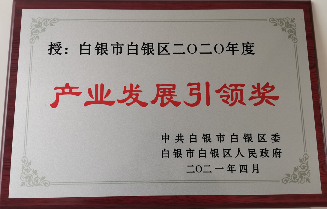 白银区产业发展引领奖.jpg