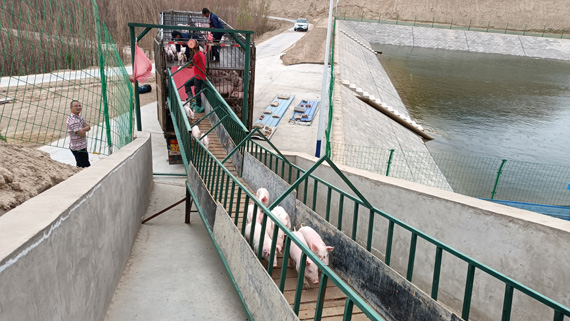 1654933542850667.jpg 2bf34fec53a977cae883afc9a74c442.jpg